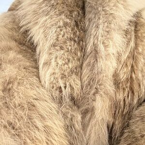 Full length coyote fur coat